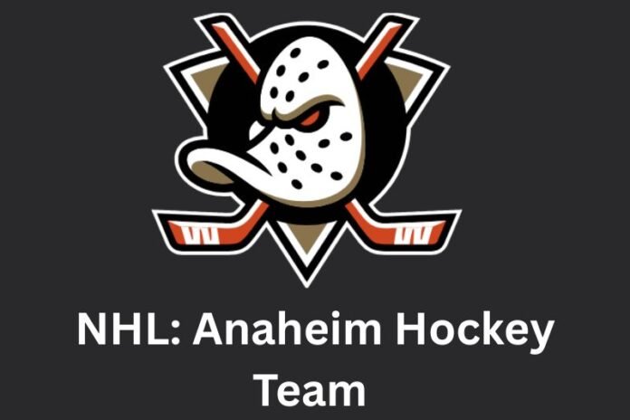 NHL: Anaheim Hockey Team 
