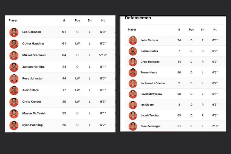 NHL: Anaheim Hockey Team 